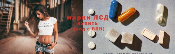 стаф Вязники