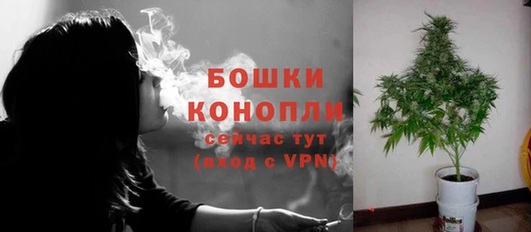 стаф Вязники