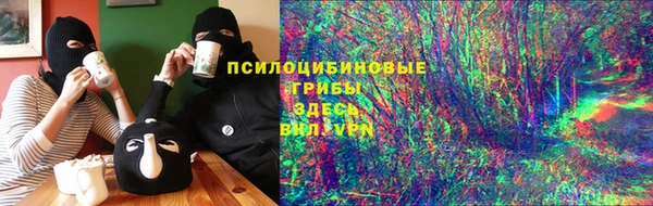 мяу мяу мука Гусиноозёрск