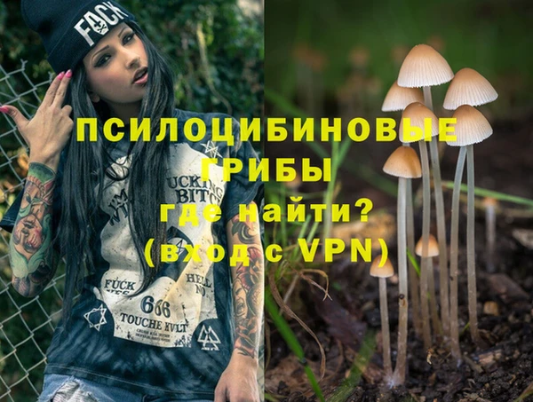 a pvp Вяземский