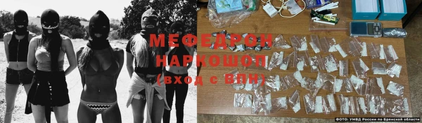 стаф Вязники