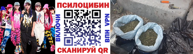 Псилоцибиновые грибы GOLDEN TEACHER  Купить закладки  Луза 