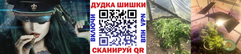 Конопля гибрид  Купить закладки  Луза 